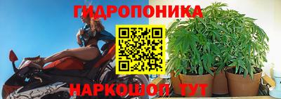 гидра Камышлов