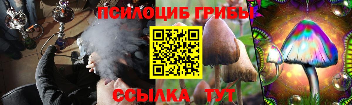 Магадан  Галлюциногенные грибы GOLDEN TEACHER  Вход с VPN 